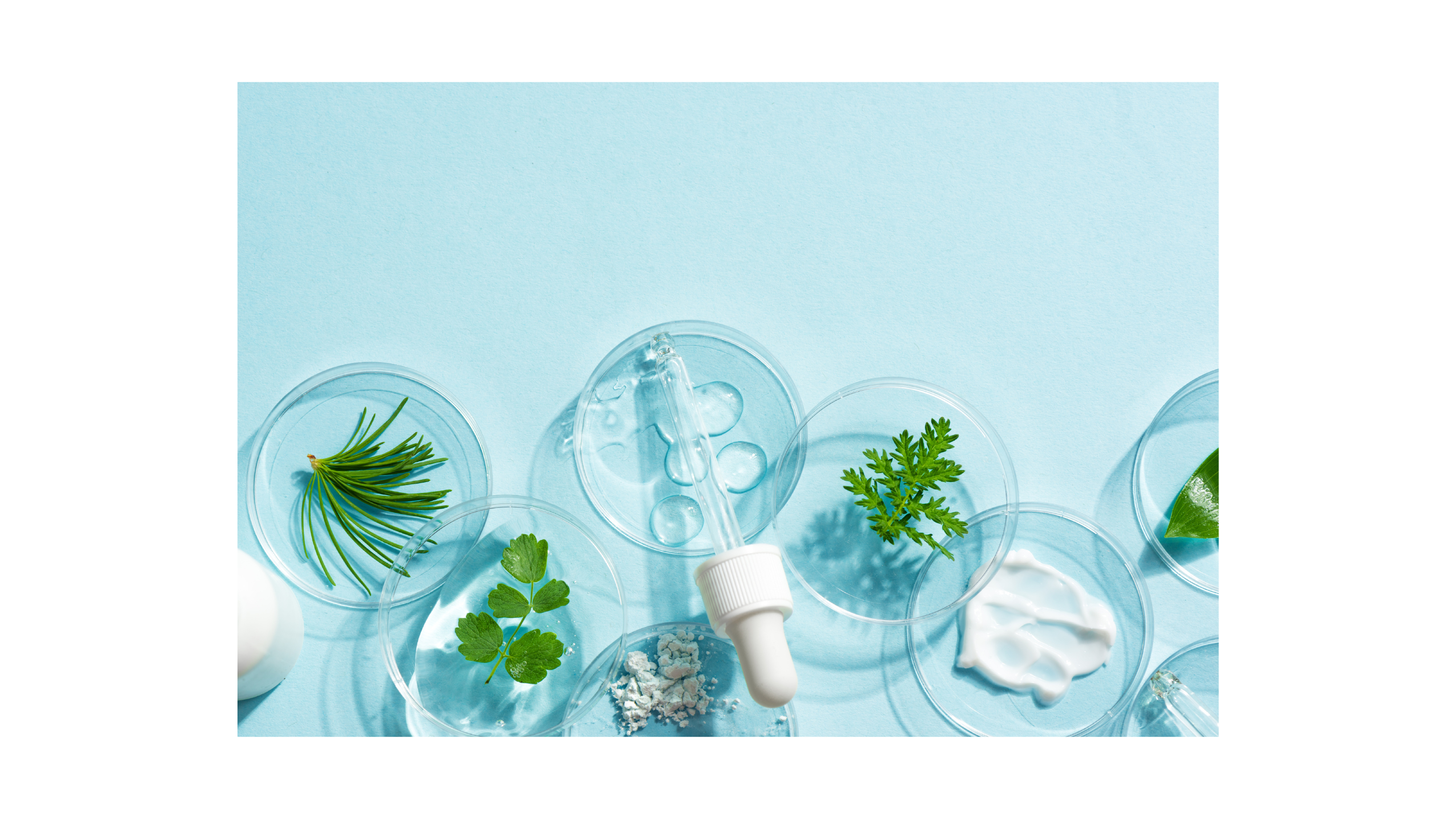 What Does “Plant-Infused” Really Mean in Skincare? – J.Essentials