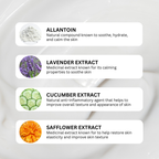 Hydrated Hand and Body Lotion Bundle